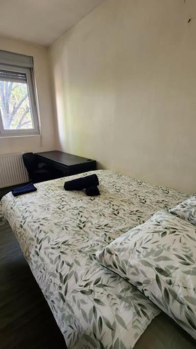 T3 Petit Confort - Proche Commodites - Parking Prive Toulouse Exteriör bild